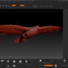 alcon art eagle bird natural nature joaco 3d print model - Mito3D