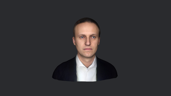 alexey navalny-bust head face ready 3d printing 3d print model - Mito3D