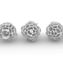 algae beads jewelry coral 3d print model - Mito3D