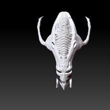 alien creature skull desk decoration video game sci-fi monster 3d print model - Mito3D