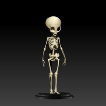 alien Grau Skelett komplett Kunst Knochen 3d print model - Mito3D