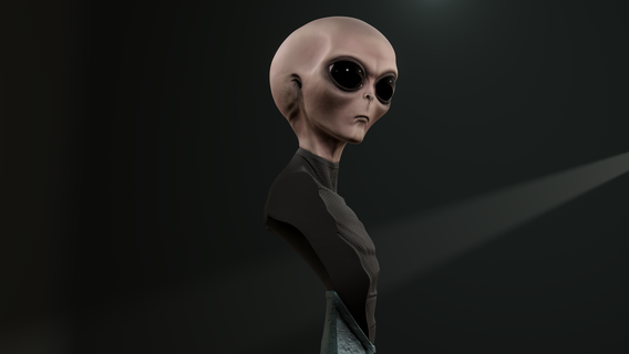 extraterrestre gris buste 3d print model - Mito3D