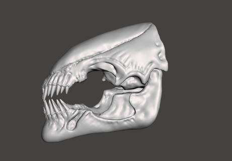 alieno Regina avp 11 scala teste cranio carne arte alieni parete predatore terminatore 3d print model - Mito3D