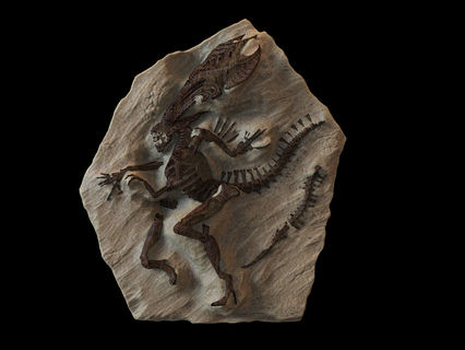 extraterrestre reine fossile xénomorphe mutant laboratoire diorama extraterrestres giger lv426 avp prédateur 3d print model - Mito3D