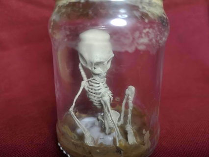 alien skeleton jar Various horror skeletons skull halloween scare 3d models miniature 3d print model - Mito3D