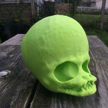 alien cráneo art no estamos solos de miedo meshmixer halloween 3d print model - Mito3D