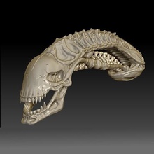 alien skull art hr giger gli alieni xenomorfo scot 3d print model - Mito3D