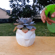 alien vase home pot plant 3d print model - Mito3D