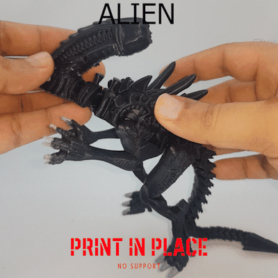 alienígenas alienreyna flexi impressão in colocar estrangeiro xenomorfo flexível prin articulando posivel fantasia drakomítico criatura apoia dragão terror reyna 3d print model - Mito3D