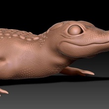 caimán reptil 3dprinting 3d esculpir lagartija cocodrilo bebé carne fauna silvestre animal peligro naturaleza criatura 3d print model - Mito3D