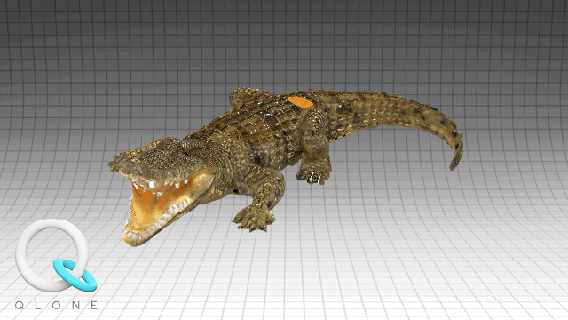 alligatore animale giocattolo qlone 3d print model - Mito3D