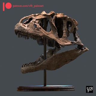 allosaurus skull paleoart dinosaurs mammals animals nature 3d print model - Mito3D
