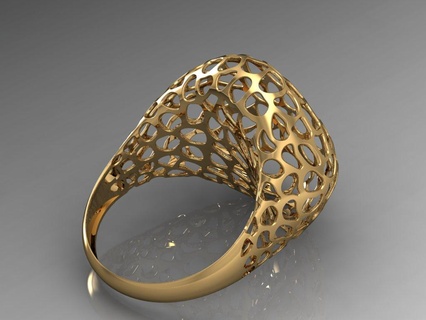 aloony ring 3d print model - Mito3D