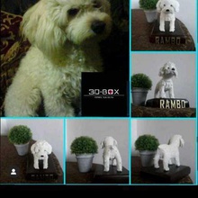 soy 3d-cuadro de peluche rambo vigo art esun3d perro 3d print model - Mito3D