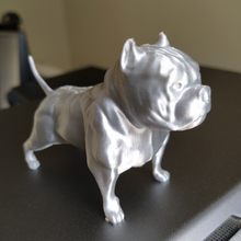 american bully art abkc xl dog bust trophy 3d print model - Mito3D