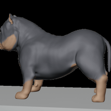 americano prepotente animale 3d print model - Mito3D