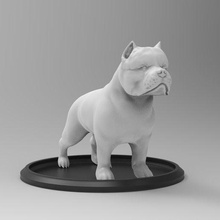 american bully nully americanbully dog printfreecan puppy 3d print model - Mito3D
