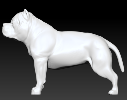 american bully dog if download free can hit buton dogcollectible americanbullylove dogsculpting bullycommunity bullyprideamericanbullyart petfigurine 3d print model - Mito3D