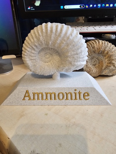ammonit fosil ayakta durmak 3d taramak süs heykel doğal tarih dinozor bambu laboratuar ams model 3d print model - Mito3D