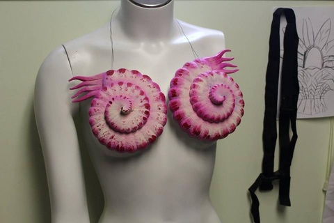 ammonite nautilus reggiseno cosplay costume moda conchiglia 3d print model - Mito3D