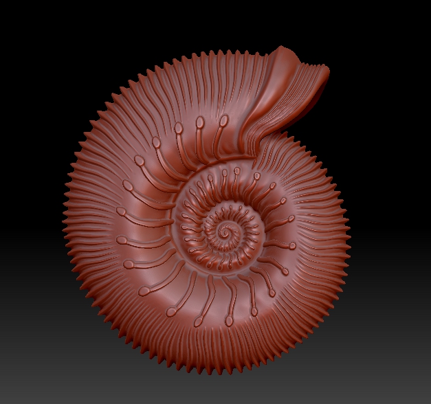 ammoniti conchiglia arte 3D print model - Mito3D