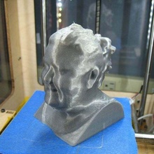 Amy buser reconstruído cabeça parente reconstruir Varredura thebusers 3d print model - Mito3D