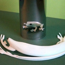 anamorphique grenouille art les mathématiques de l'art la sculpture science nature miroir animal anamorphose 3d print model - Mito3D
