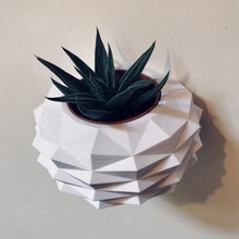 ananas casa poli baja orinal de la planta deco fruta piña 3d print model - Mito3D