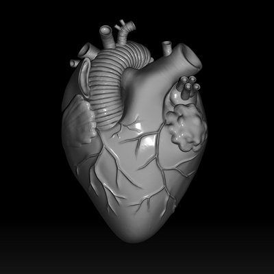 anatomique cœur saint valentin journée humain carte soulagement anatomie pendentif veines vampire 3d print model - Mito3D