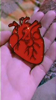 anatomik kalp anahtar yüzük anatomi 3d print model - Mito3D