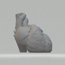 anatomical heart vase decoration valentine poison gift flowers roses homeliving living room 3d print model - Mito3D