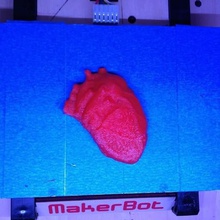 anatomical heart scans replicas medical models anatomy 3d print model - Mito3D