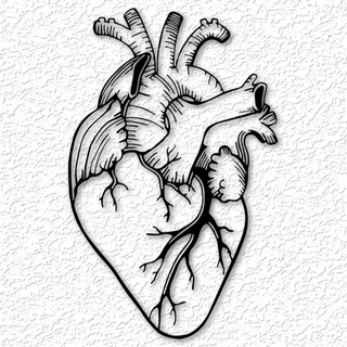 anatomique Humain cœur mur art décor médical Bureau organes médecins infirmière Accueil maison mural 2d faible poly profession caridologue cardiaque 3d print model - Mito3D
