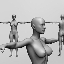 anatômico realista fêmea malha base mase obj stl mulher trabalhos 3d print model - Mito3D
