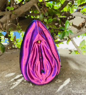 anatomique vagin vulve clitoris femelle modèle matrone éducation 3d print model - Mito3D