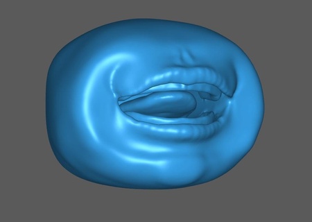 anatomicamente corretta neonato boccaglio bambino bocca Bambino 3d print model - Mito3D