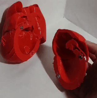 anatomiquement correct aimanté cœur anatomie médicament cardiologie poitrine biomédical éducation organe 3d print model - Mito3D