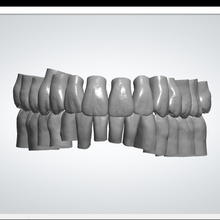 ang diş kütüphane 3d print model - Mito3D