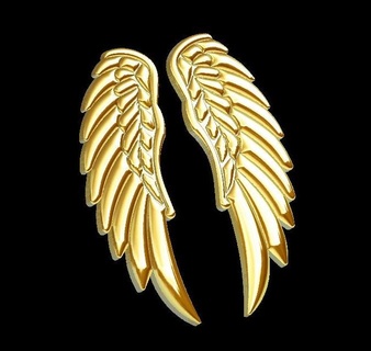 angel wings 3d print model - Mito3D