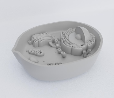 animal cell print printed innovation teaching biology education science organism animals miniatures figurines 3d print model - Mito3D