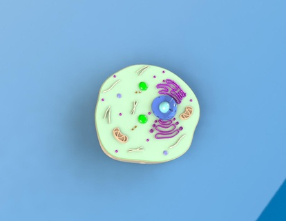 animal cell c llule animale 3d print model - Mito3D
