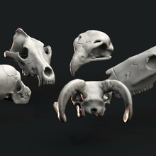 animal skulls miniatures wargaming terrain animalskull basebuilding 3d print model - Mito3D