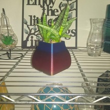 un altro succulento piatto casa il vaso arredamento pot la pianta succulente giardino 3d print model - Mito3D
