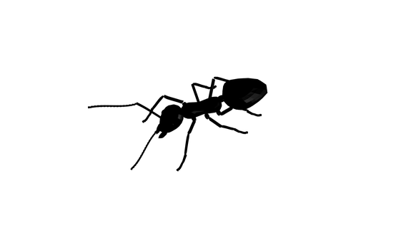 hormiga ant animal mar naturaleza pez 3d print model - Mito3D
