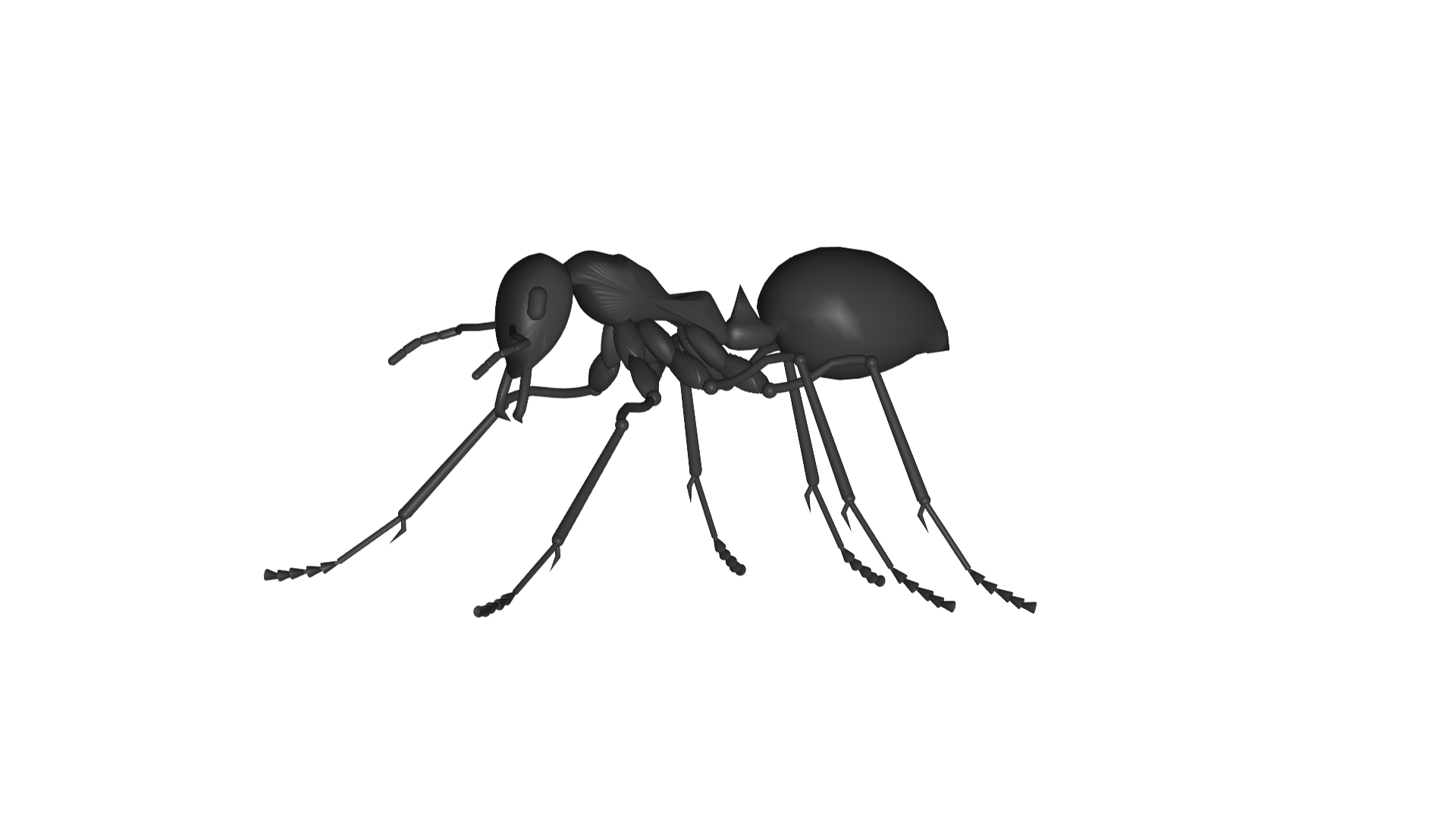 karınca 3D print model - Mito3D