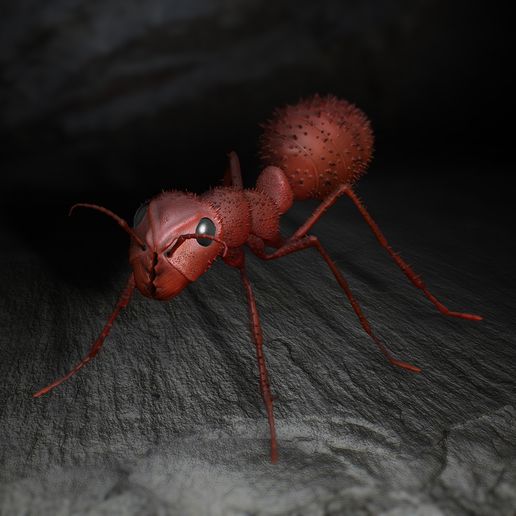 ant animal qu3d insect 3D print model - Mito3D