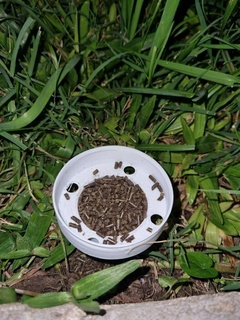 ant bait station - granular outdoor garden activities 3d print model - Mito3D