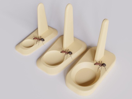 ant feeding dish formicarium - ants feeder 3 different sizes feed dishes plate 3d print model - Mito3D