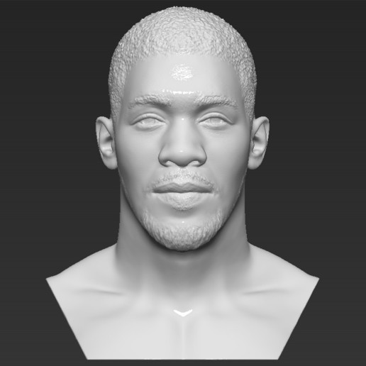 anthony joshua 3d baskı hazır stl n biçimleri baskın sanat büstü atlet wilder mayweather mcgregor ruiz Muhammed ali ağır ağırlık boks boxer ünlü mike tyson 3D print model - Mito3D