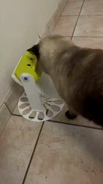 anti obur yükseklik kedi wolverine öğle yemeği kutu kabaca öğütmek hayvan 3d print model - Mito3D
